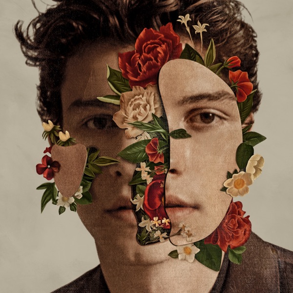 Shawn Mendes（肖恩· Mendes）：流行偶像的成长-0mac
