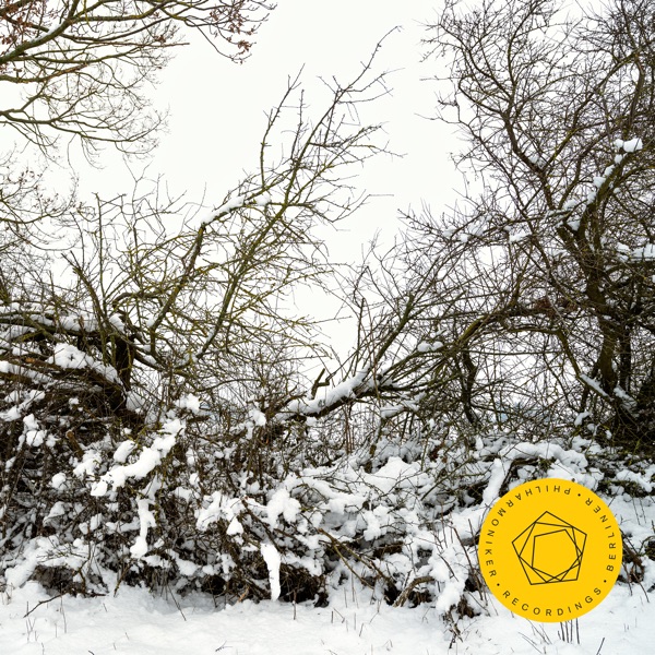 拉赫玛尼诺夫（Rachmaninoff）：浪漫主义音乐大师-0mac